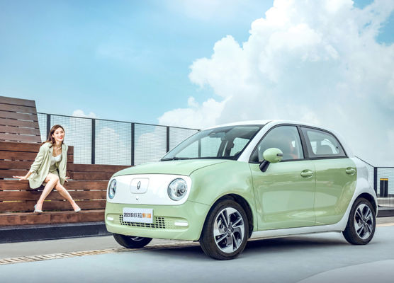 301-405KM ग्रेट वॉल मोटर EV ग्रेट वॉल ORA ब्लैक कैट Ev बैटरी LFP