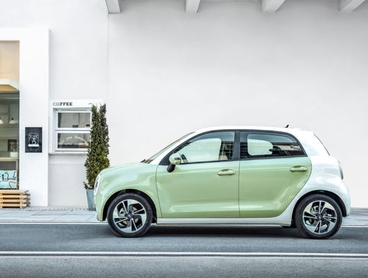 301-405KM ग्रेट वॉल मोटर EV ग्रेट वॉल ORA ब्लैक कैट Ev बैटरी LFP